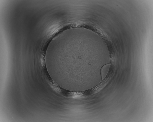 X0000116630719200912111217