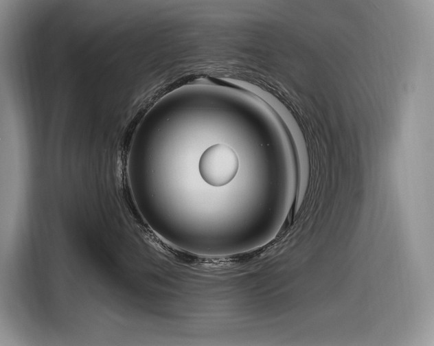 X0000116630720200912111217