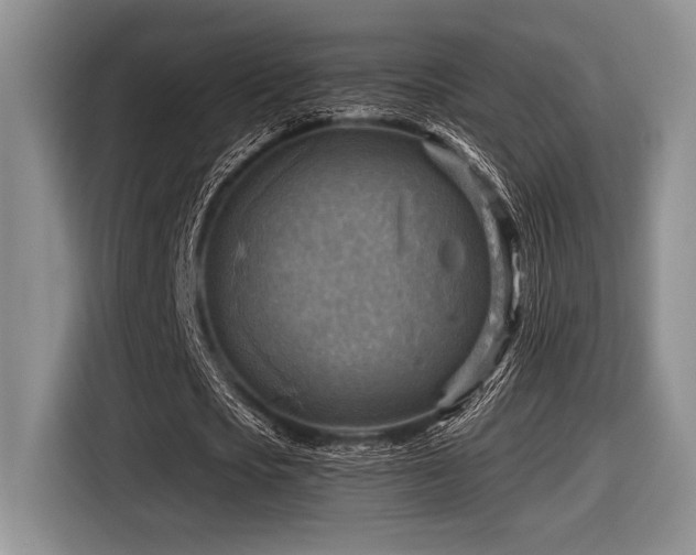 X0000116630721200912111216