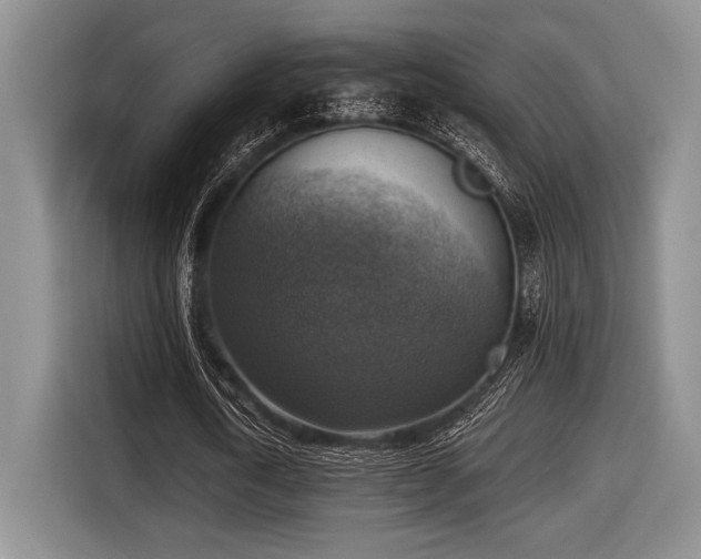 X0000116630722200912111216