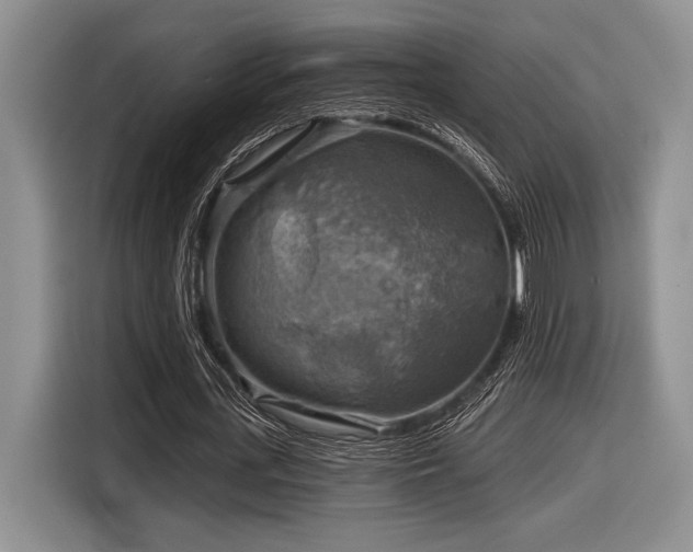 X0000116630723200912111216