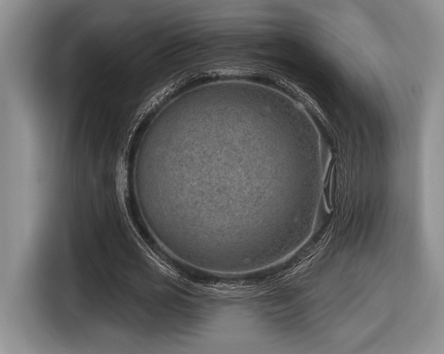 X0000116630725200912111216