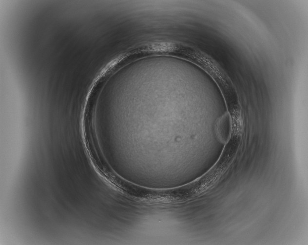 X0000116630726200912111216