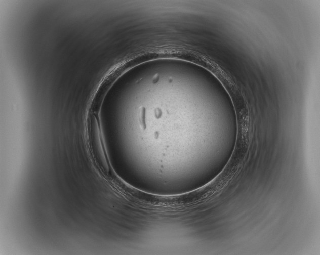 X0000116630727200912111216