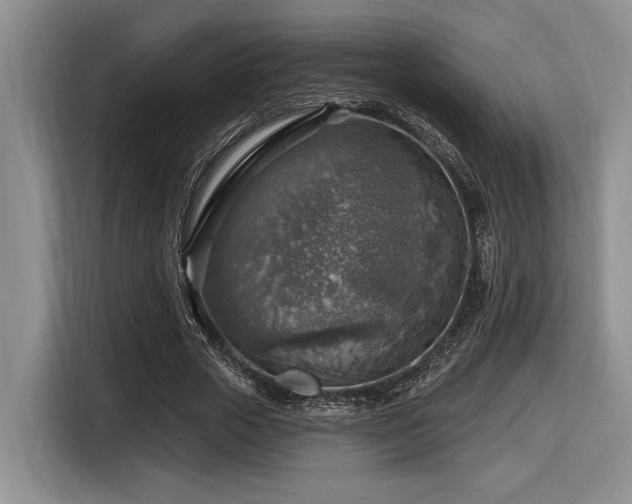 X0000116630729200912111216