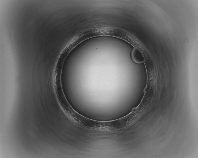 X0000116630730200912111216