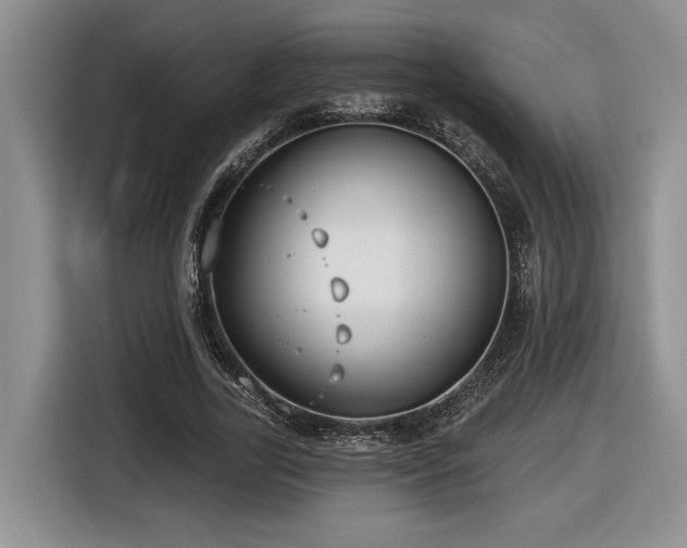 X0000116630731200912111216