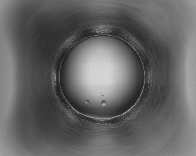 X0000116630733200912111216