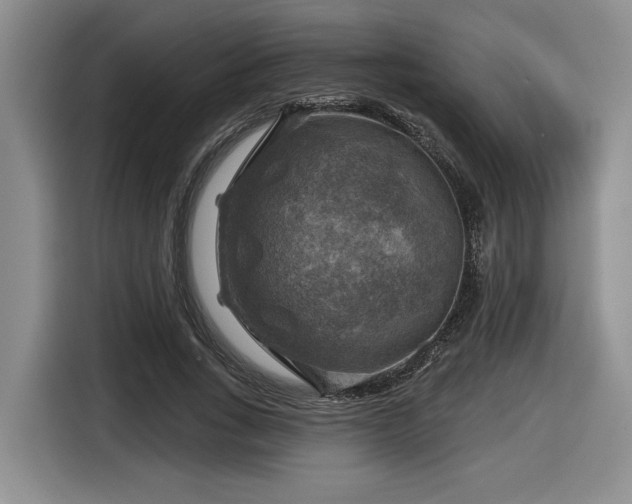 X0000116630735200912111216