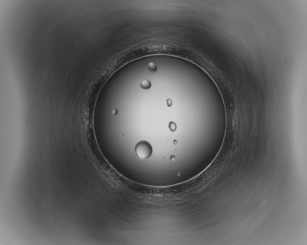 X0000116630737200912111216