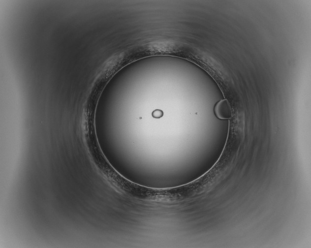 X0000116630738200912111216