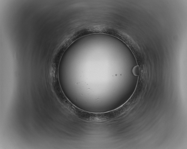 X0000116630739200912111216