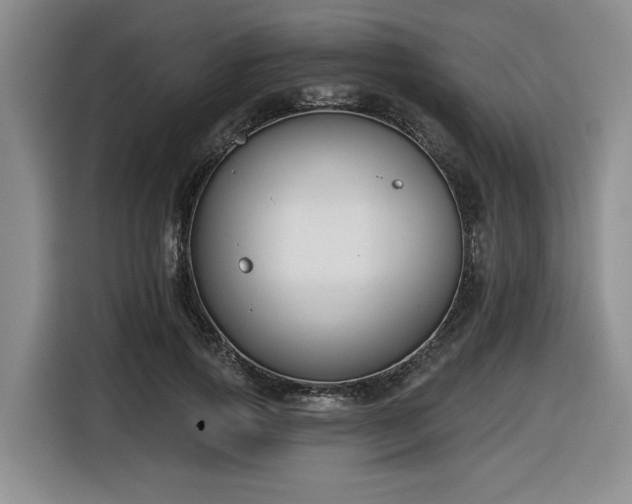 X0000116630741200912111216