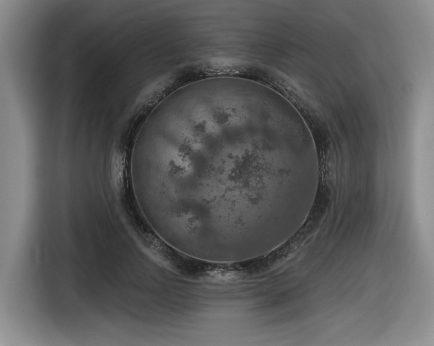 X0000116630742200912111216