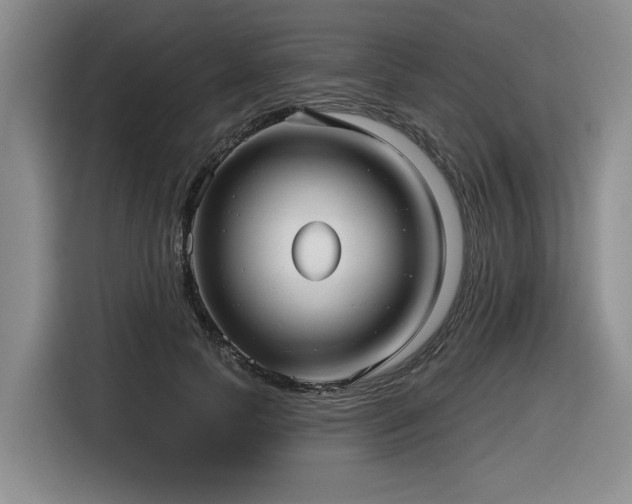 X0000116630745200912111216