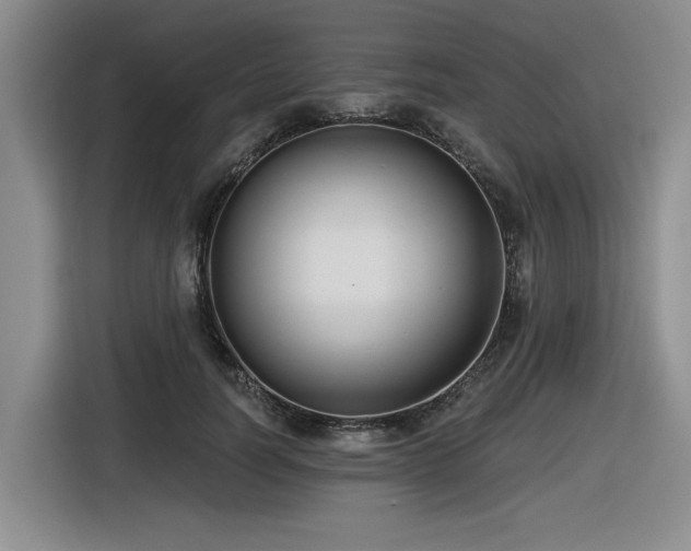 X0000116630746200912111216