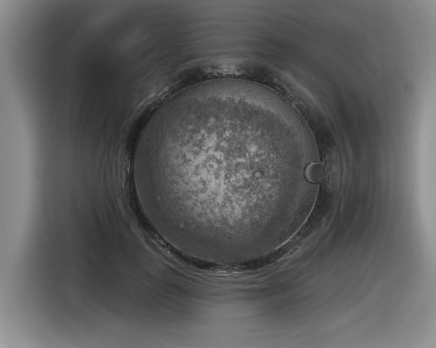 X0000116630747200912111216