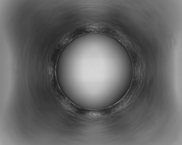 X0000116630749200912111216