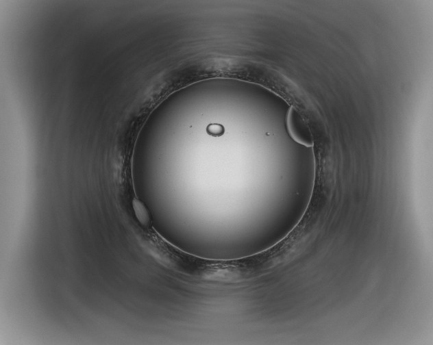 X0000116630750200912111216