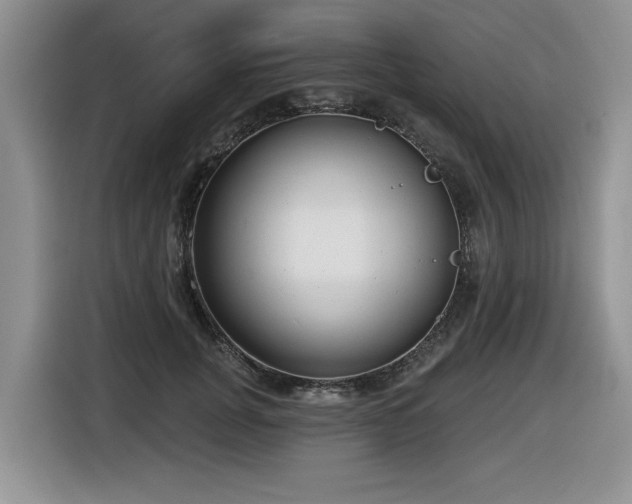 X0000116630751200912111216