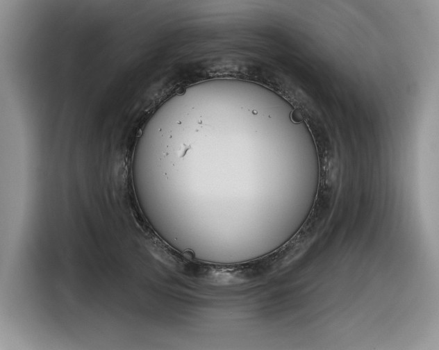 X0000116630753200912111216