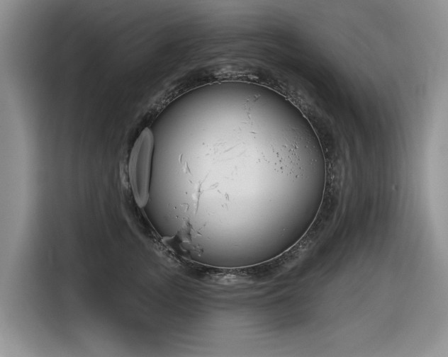 X0000116630755200912111216