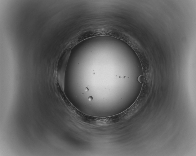 X0000116630757200912111217