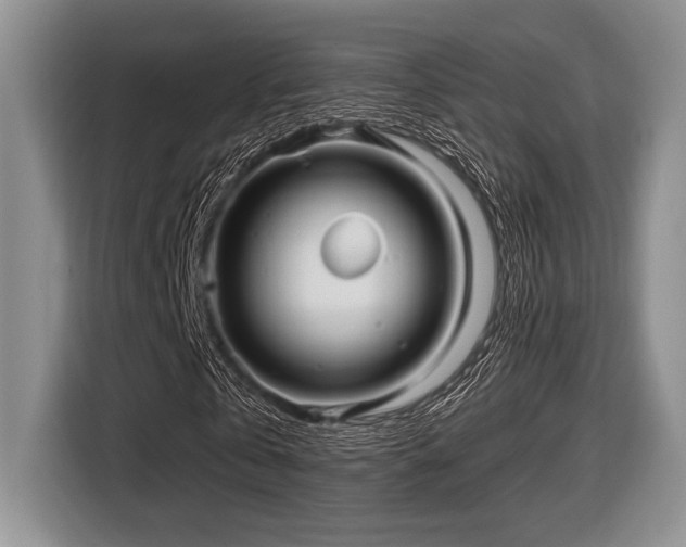 X0000116630769200912111216