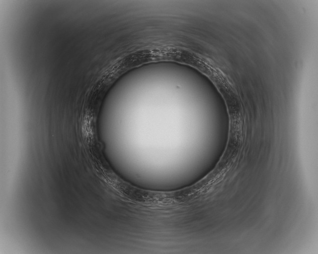 X0000116630770200912111216