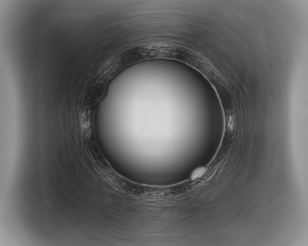 X0000116630771200912111216