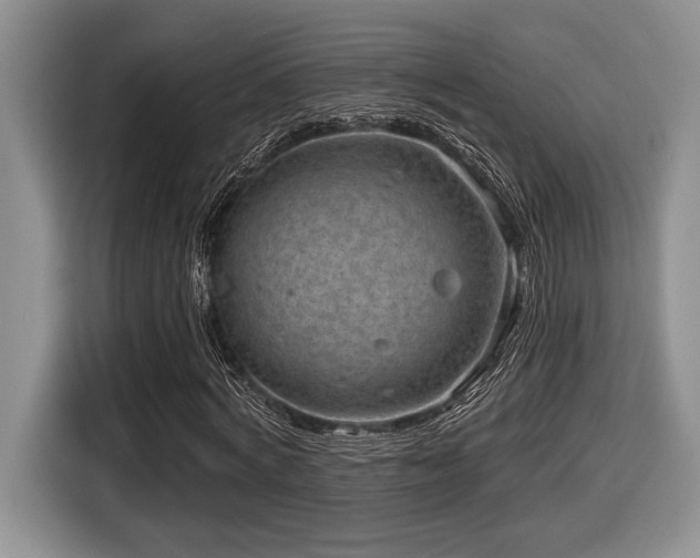 X0000116630772200912111216