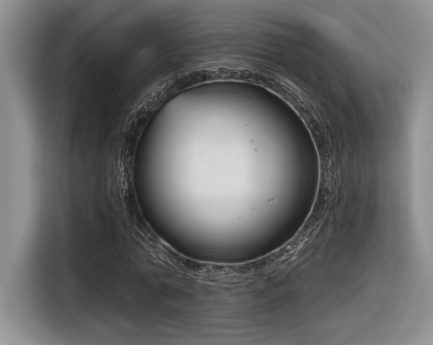 X0000116630774200912111216