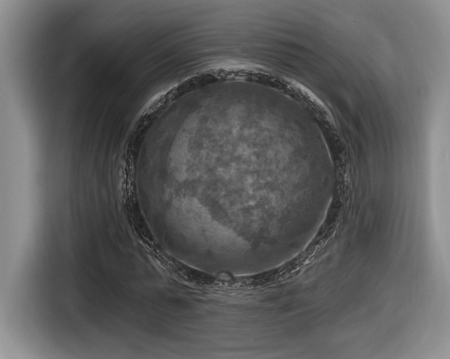 X0000116630775200912111216