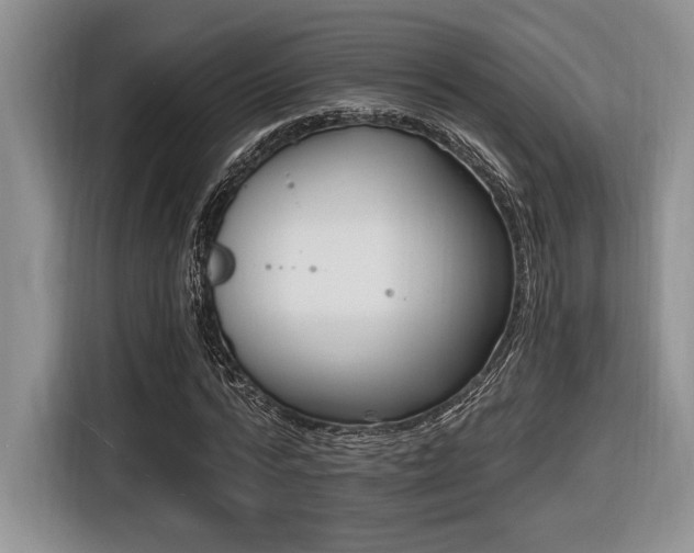 X0000116630776200912111216