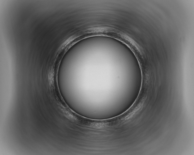 X0000116630778200912111216