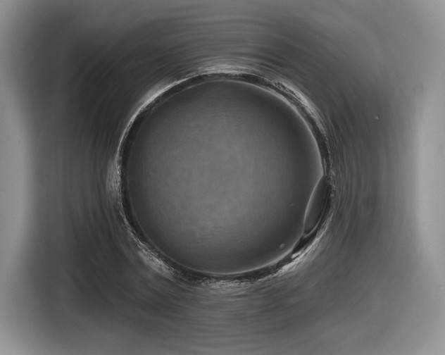 X0000116630779200912111216