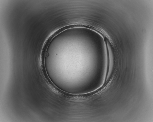 X0000116630780200912111216