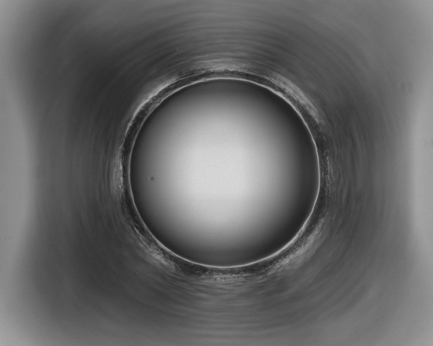 X0000116630782200912111216