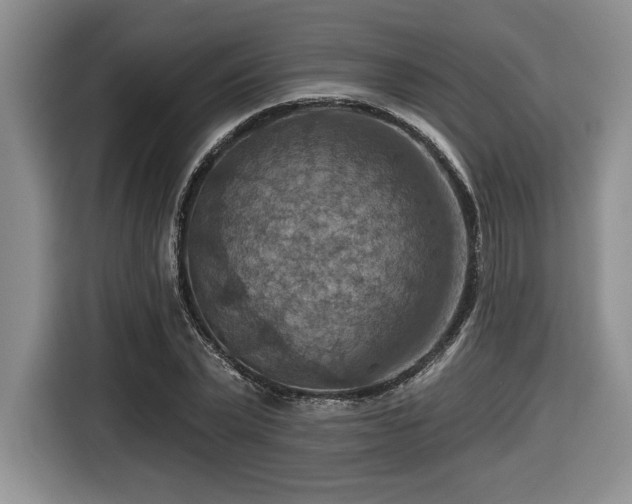 X0000116630783200912111216