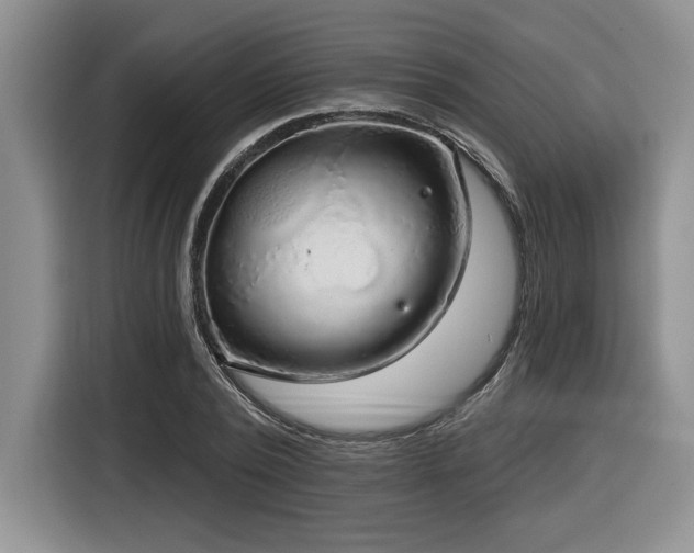 X0000116630784200912111216