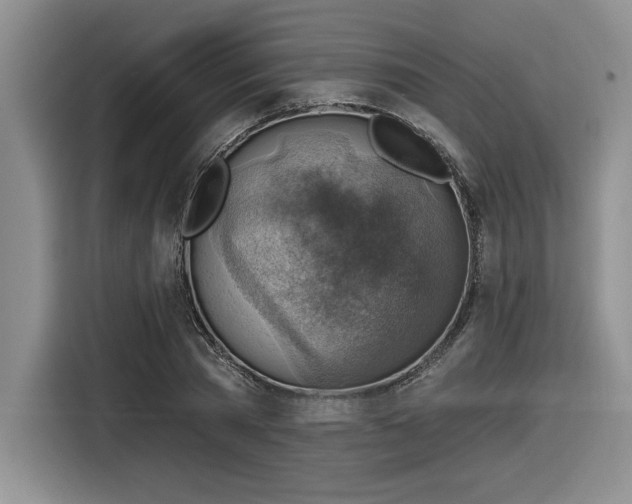 X0000116630785200912111216