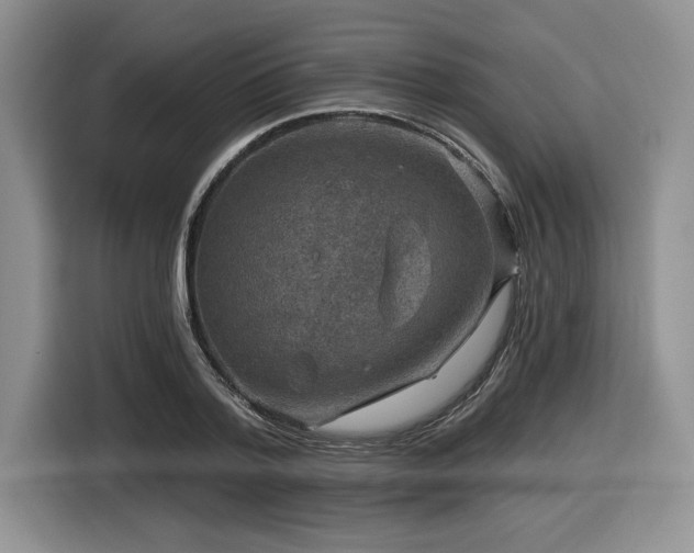 X0000116630788200912111216