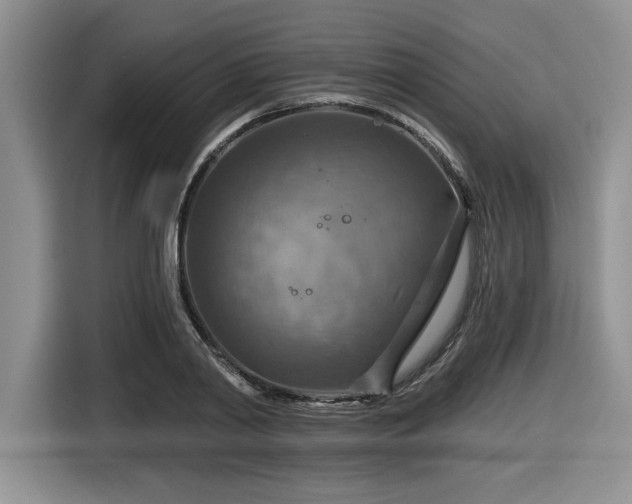 X0000116630790200912111216