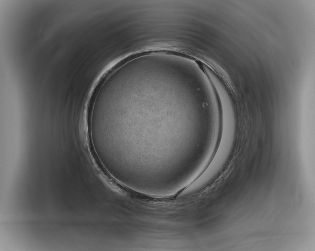 X0000116630792200912111216