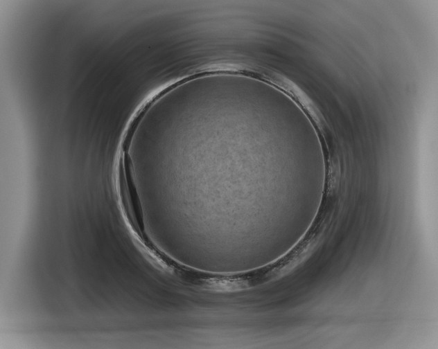 X0000116630795200912111216