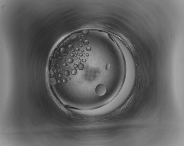 X0000116630796200912111216