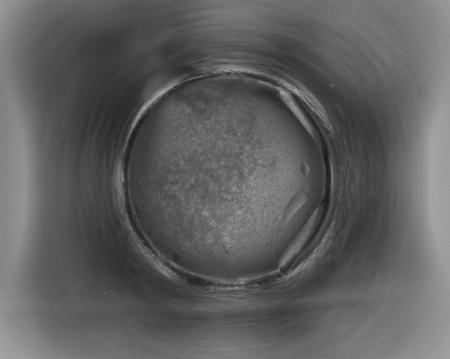 X0000116630798200912111216