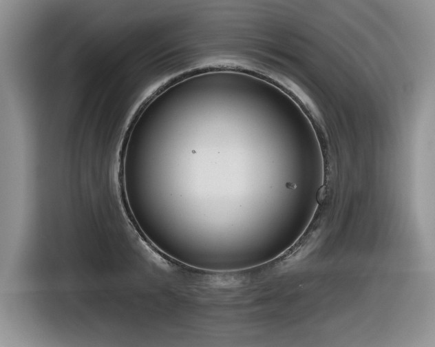 X0000116630799200912111216