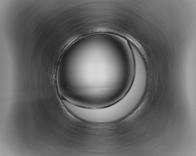 X0000116630801200912111216