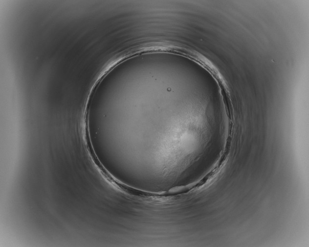 X0000116630802200912111216